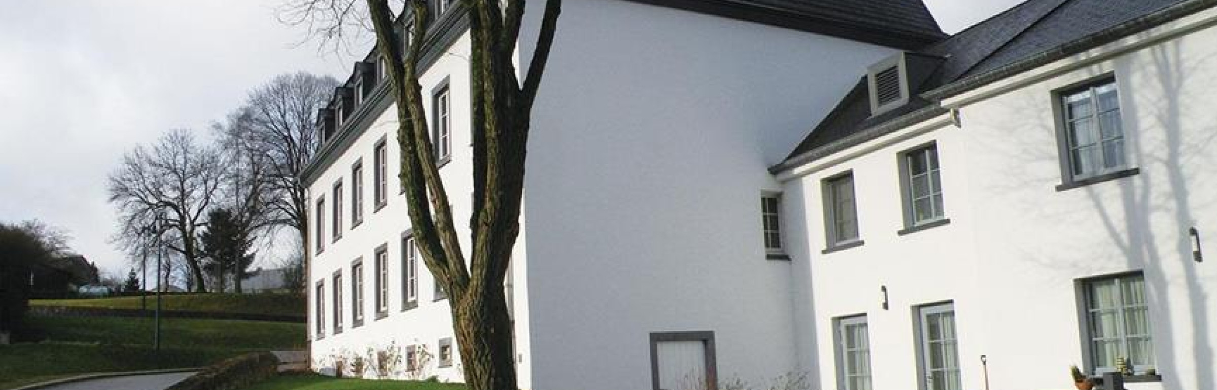 Banner Foyer Eisleker Heem