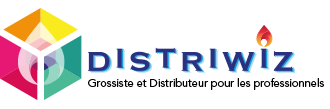 Distriwiz logo