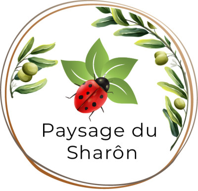 Logo paysage et reflet du sharon