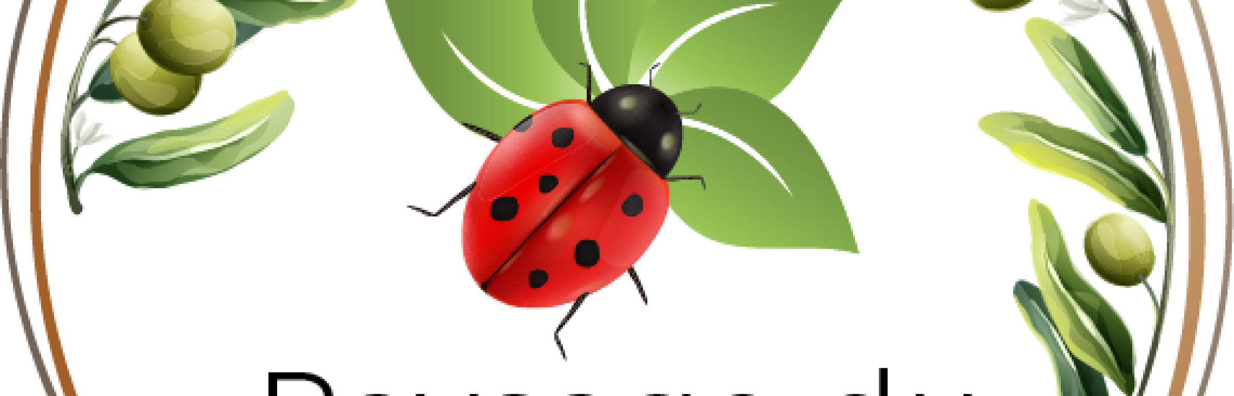 Banner paysage et reflet du sharon