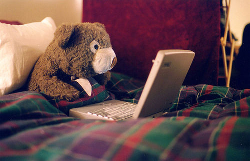 blogging-bear-1