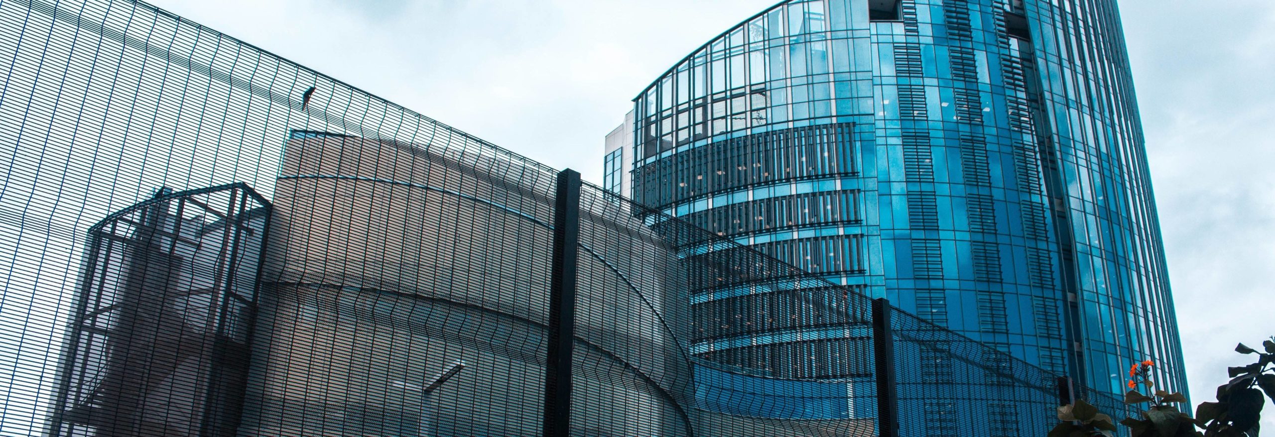 pexels-croberin-photography-1422408-compressed-scaled