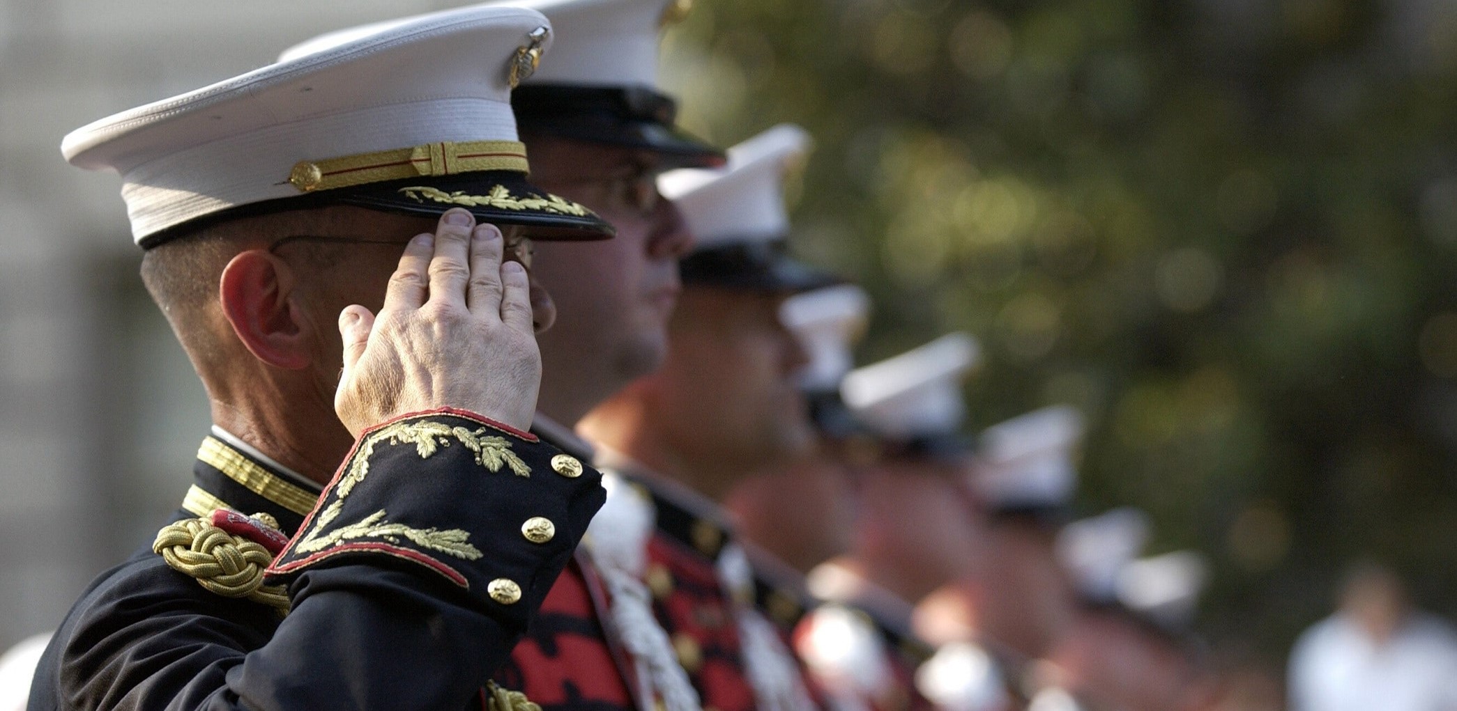 pexels-pixabay-40546