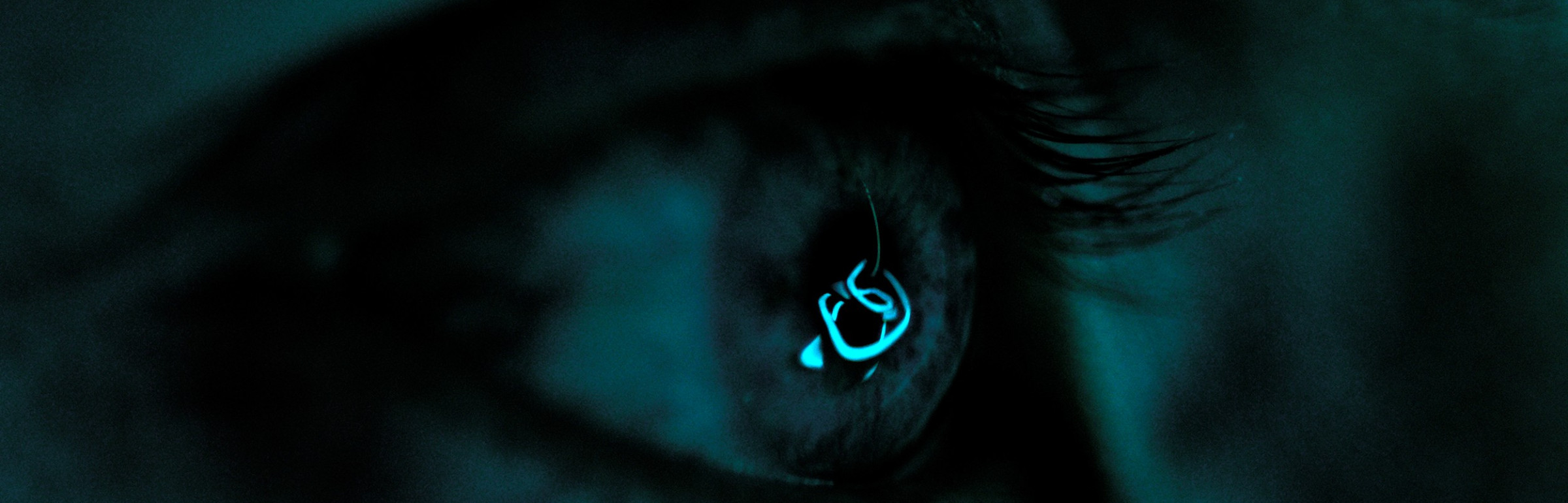 Banner Zumtobel Group