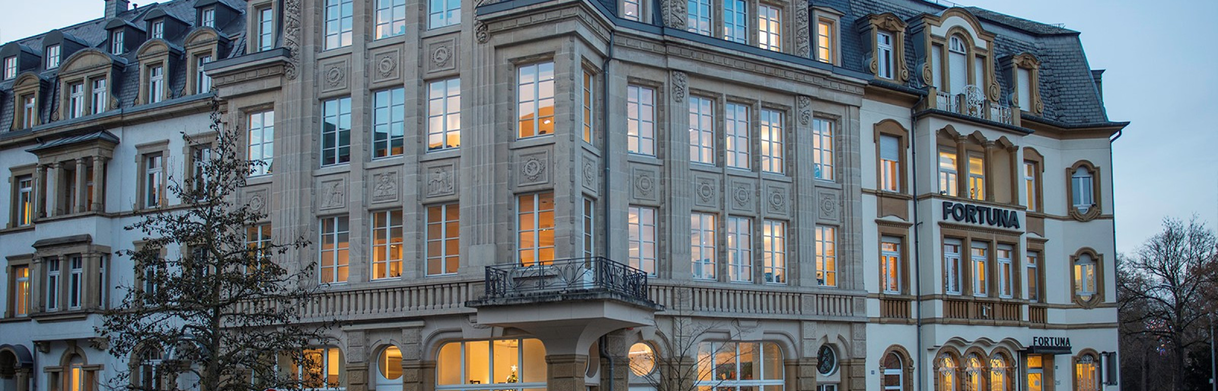 Banner Van Campen Liem