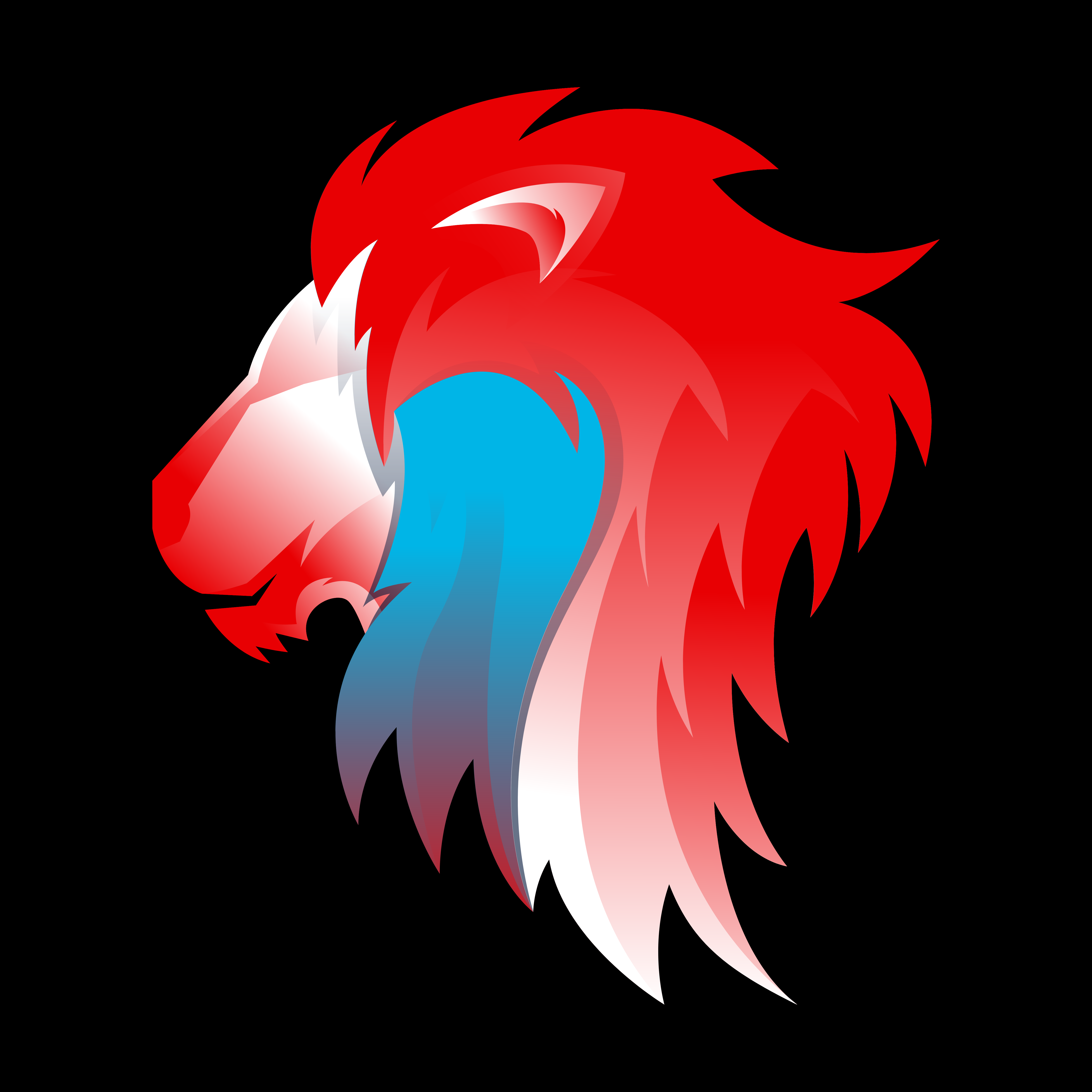 ROUDE LÉIWEN FUSSBALLSCHOUL a.s.b.l logo