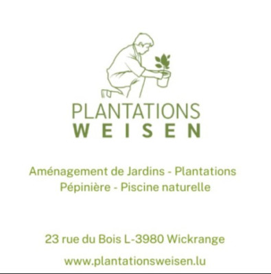 Logo Plantations Weisen