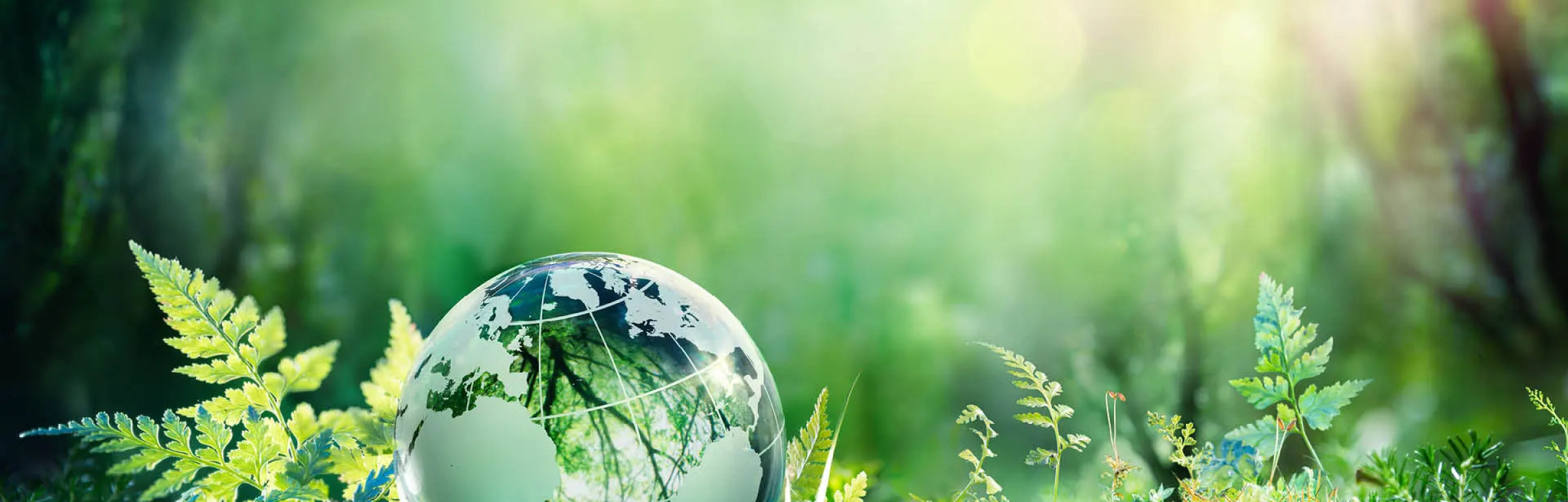 Banner Agence de l'Energie