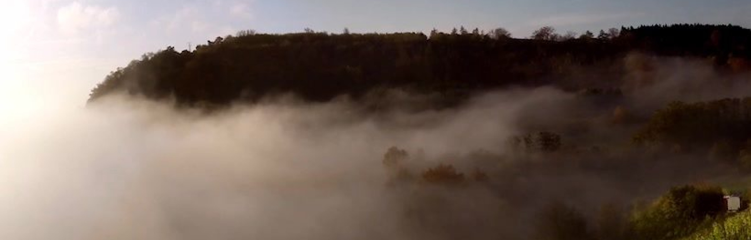 Banner Moast Creative Studio