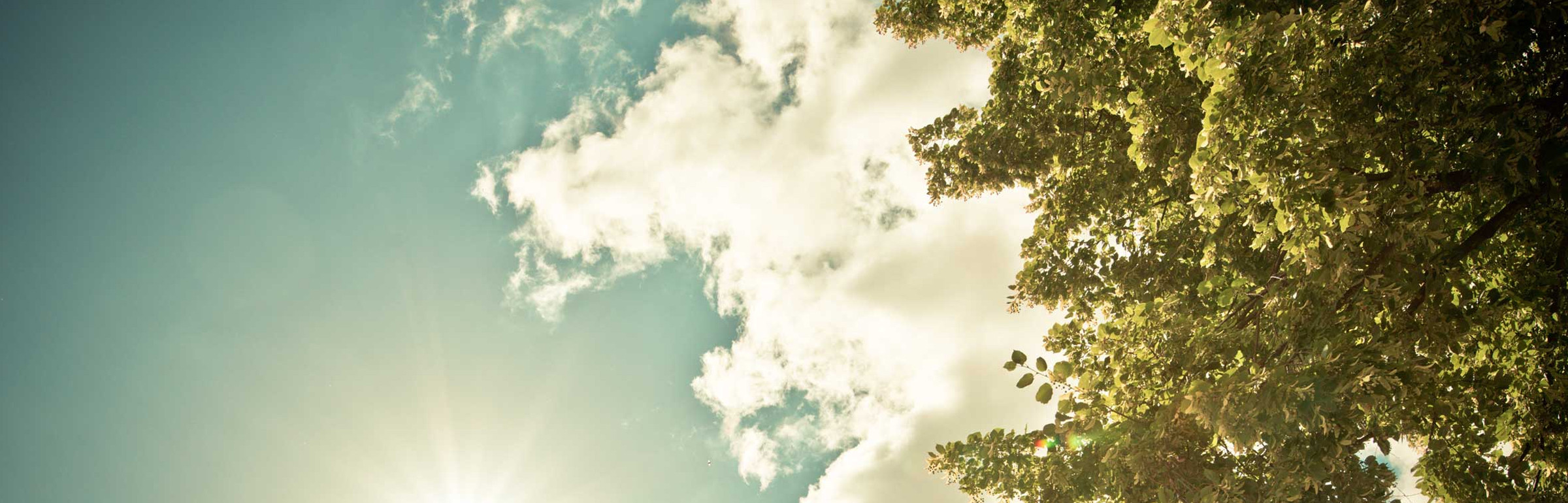 Banner Centre Hospitalier Neuro-Psychiatrique (CHNP)