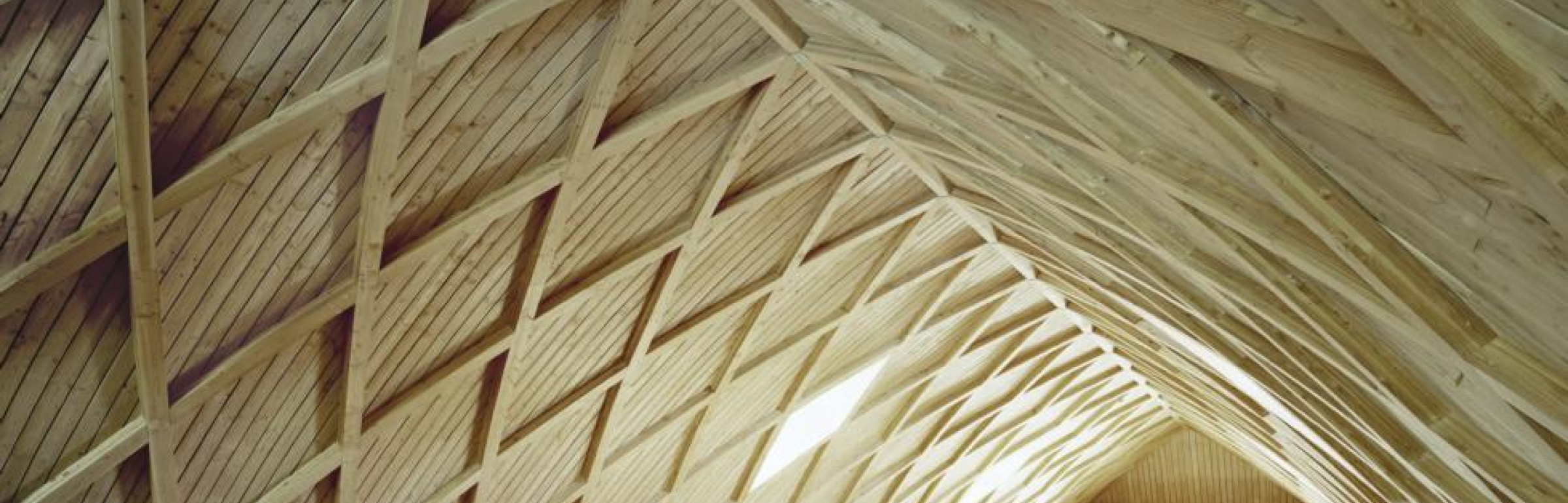 Banner Steffen Holzbau S.A.