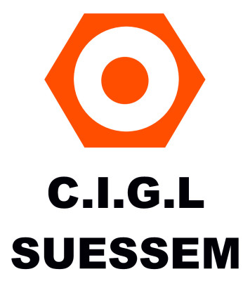 Logo Cigl Sanem