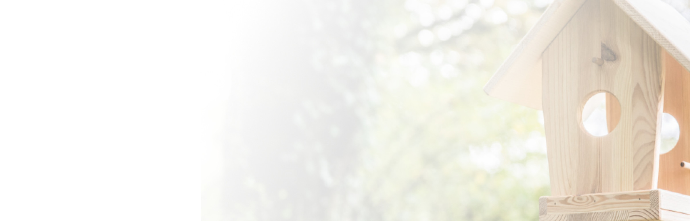 Banner Cigl Sanem