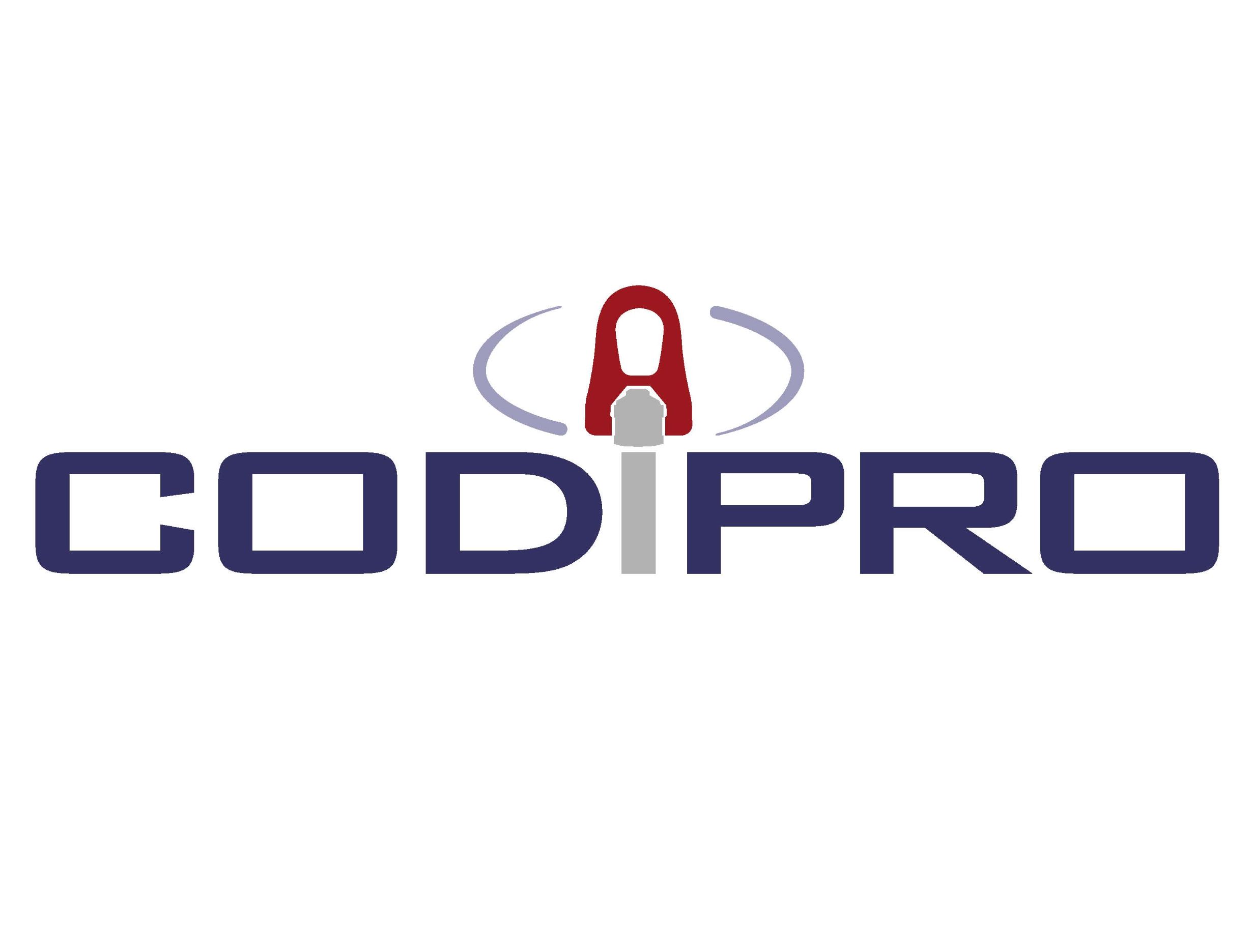 CODIPRO SA logo
