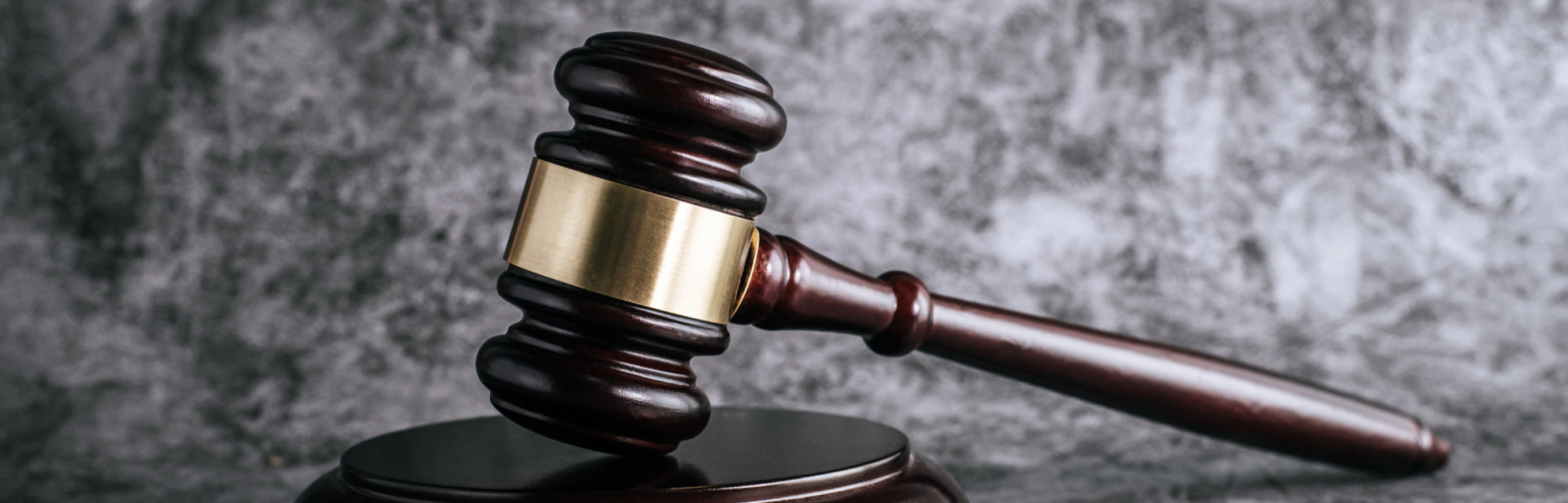 Banner Cour de Justice Benelux