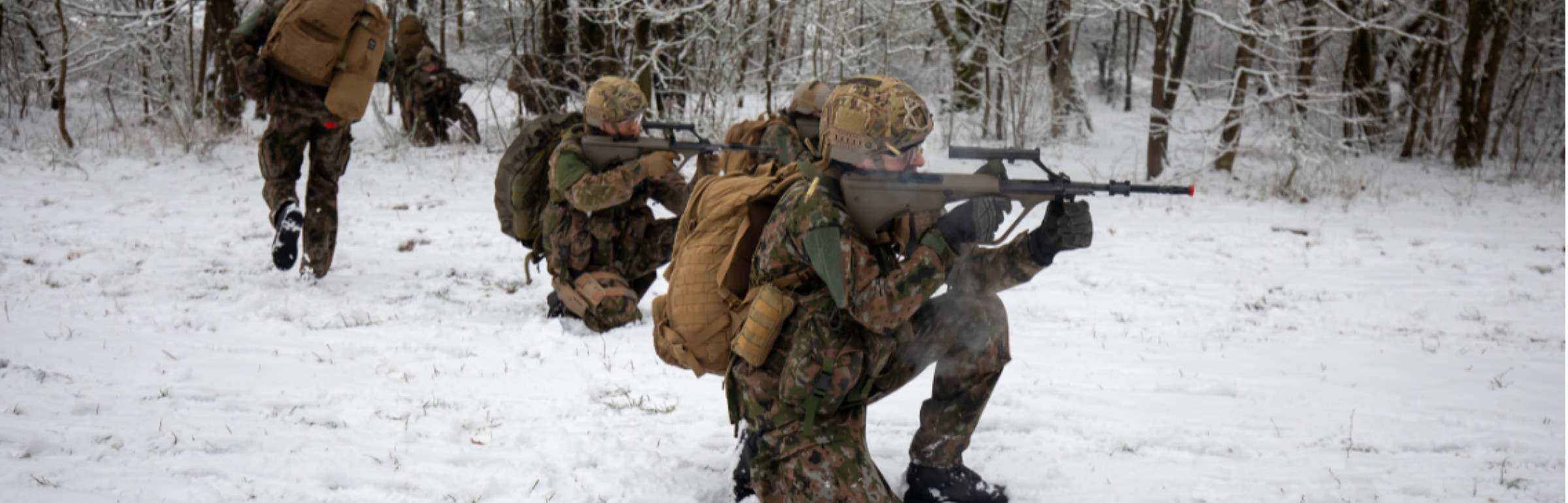 Banner Armée luxembourgeoise