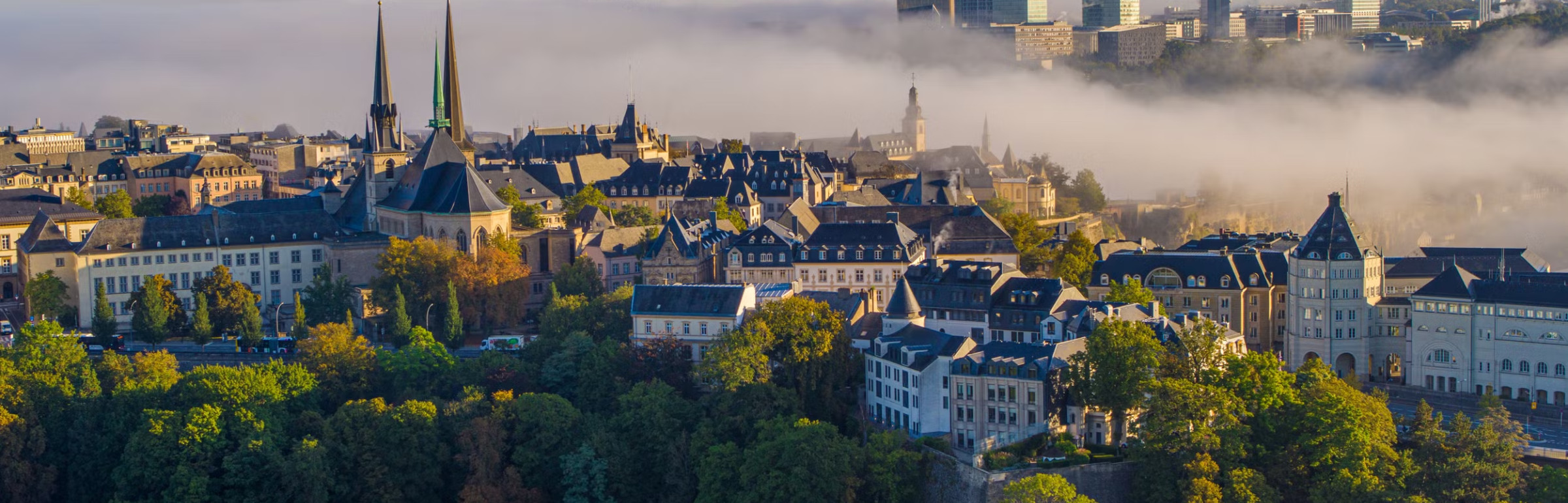 Banner Société confidentielle