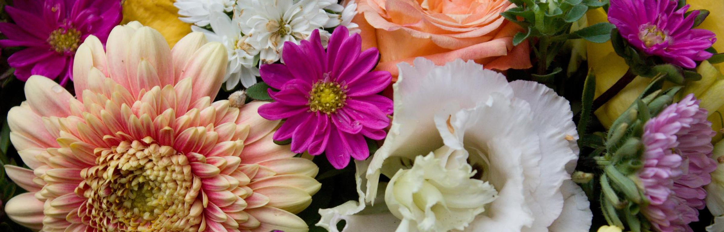 Banner Fleurs du Temps Sarl