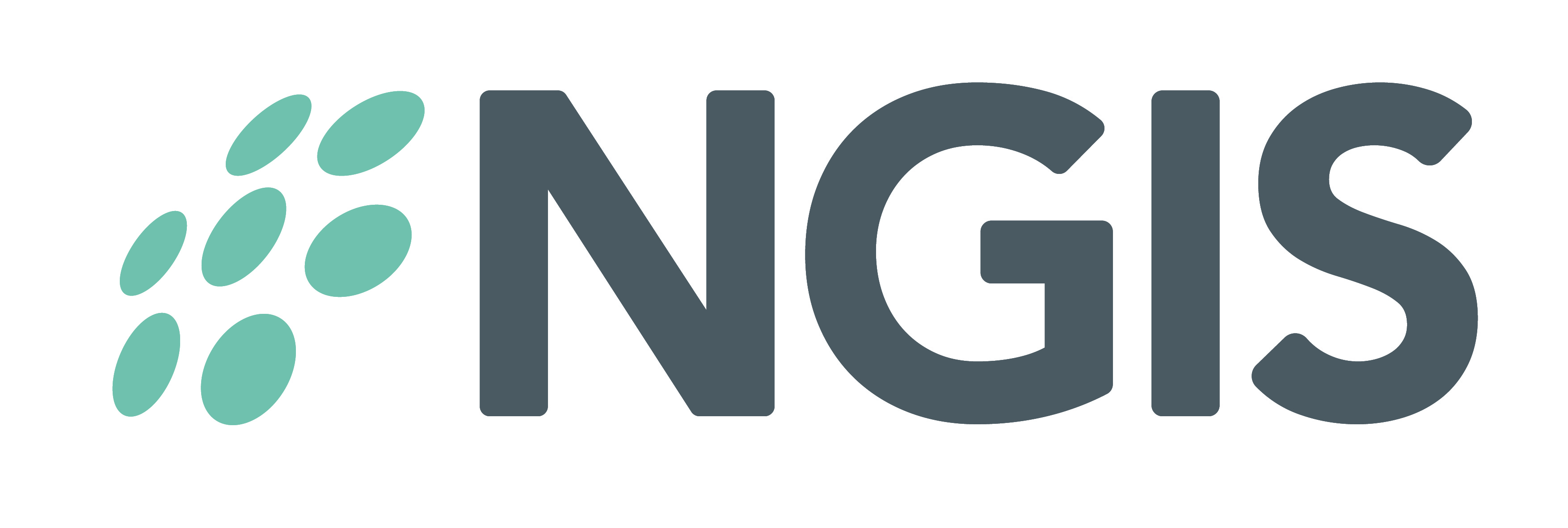 NGIS logo