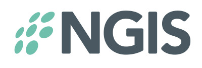 Logo NGIS