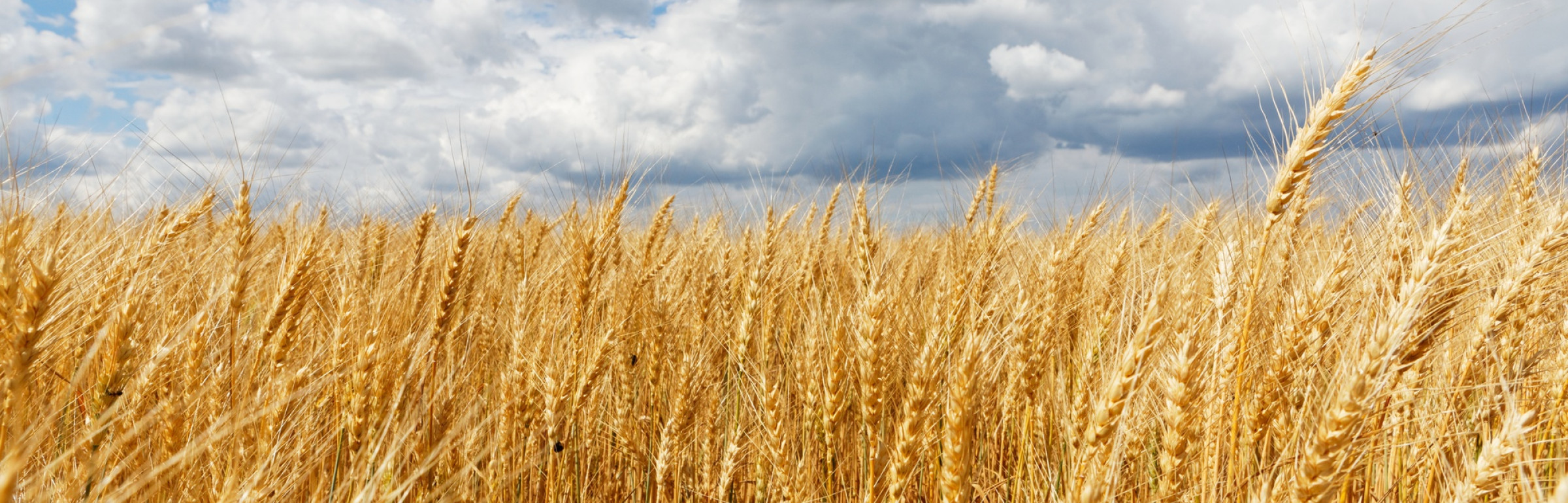 Banner Ets Michel Clément