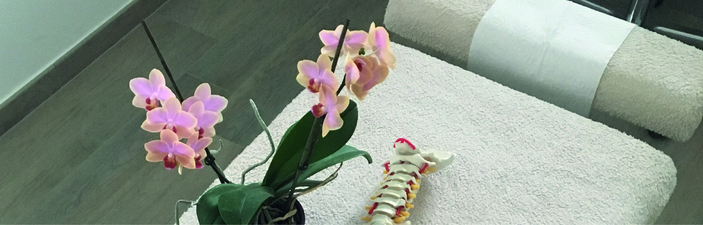 Banner Centre thérapeutique Wagner