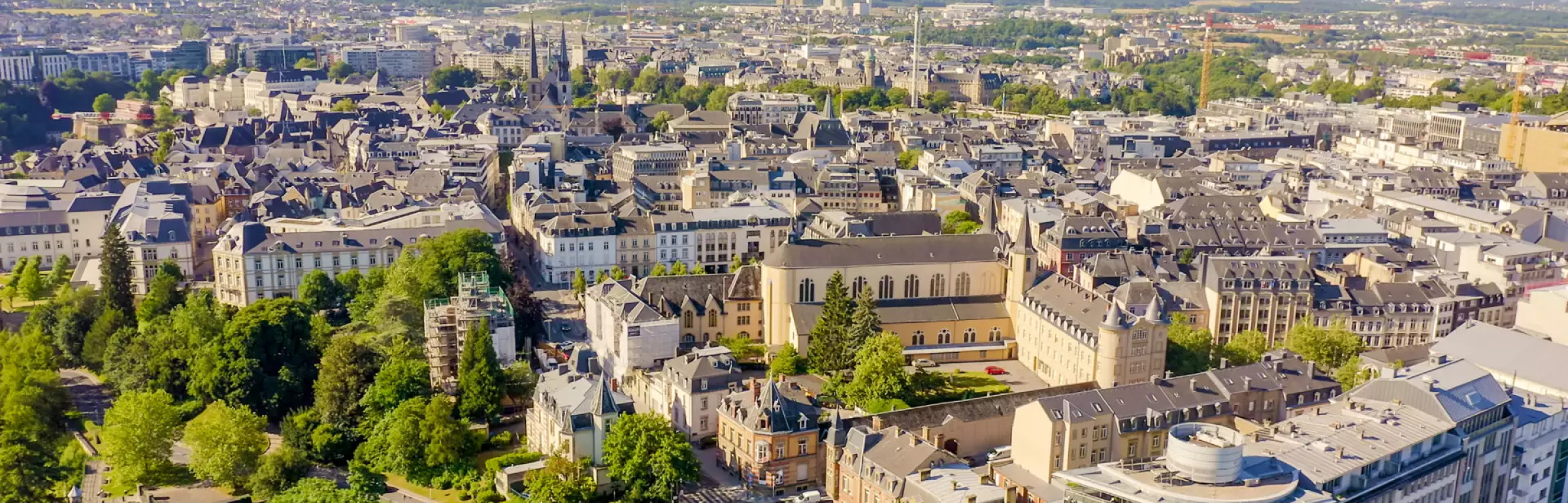 Banner RBC Real Estate