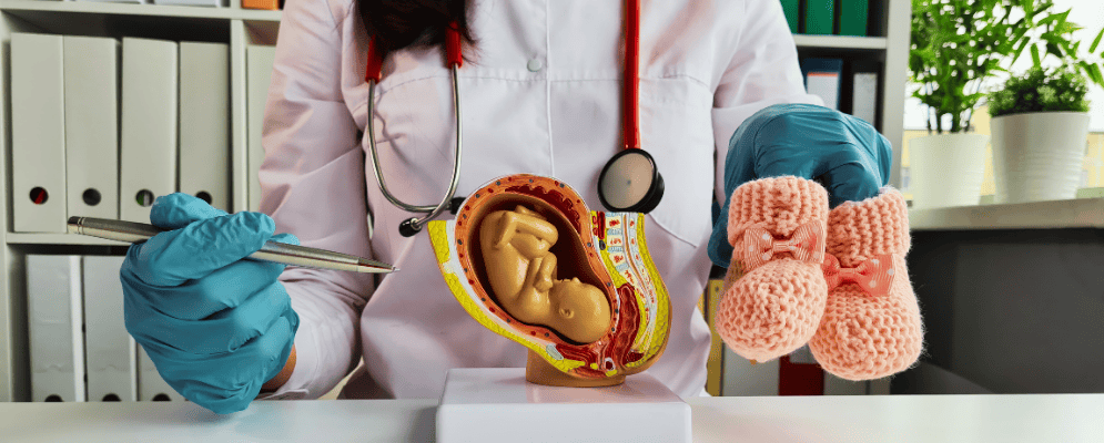 Couverture article blog (7)