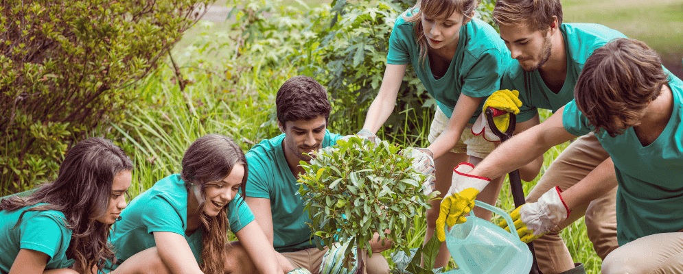 Couverture article blog (17)