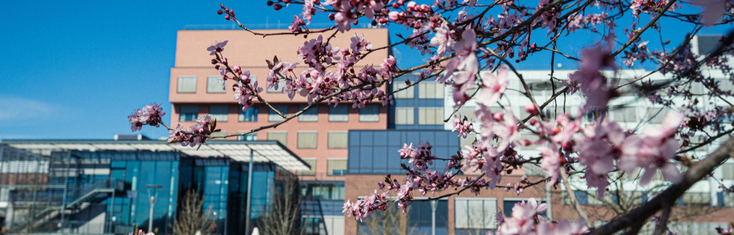 Banner Groupe Radiologique Ettelbruck