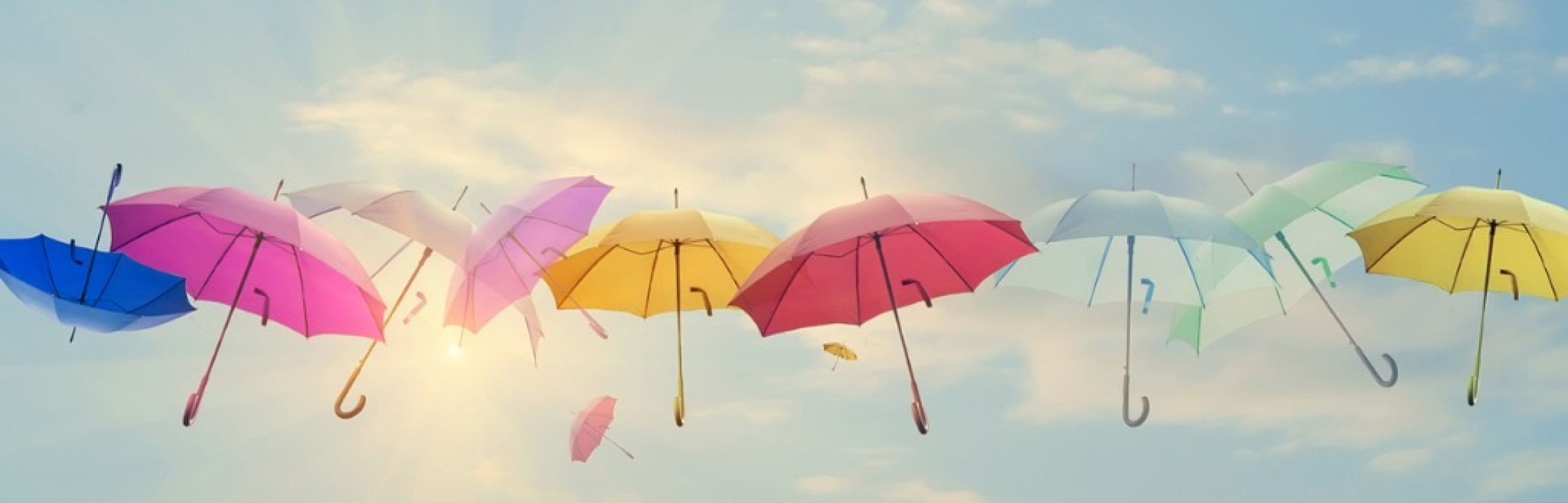 Banner Agence Foyer Schumacher & Schmitz