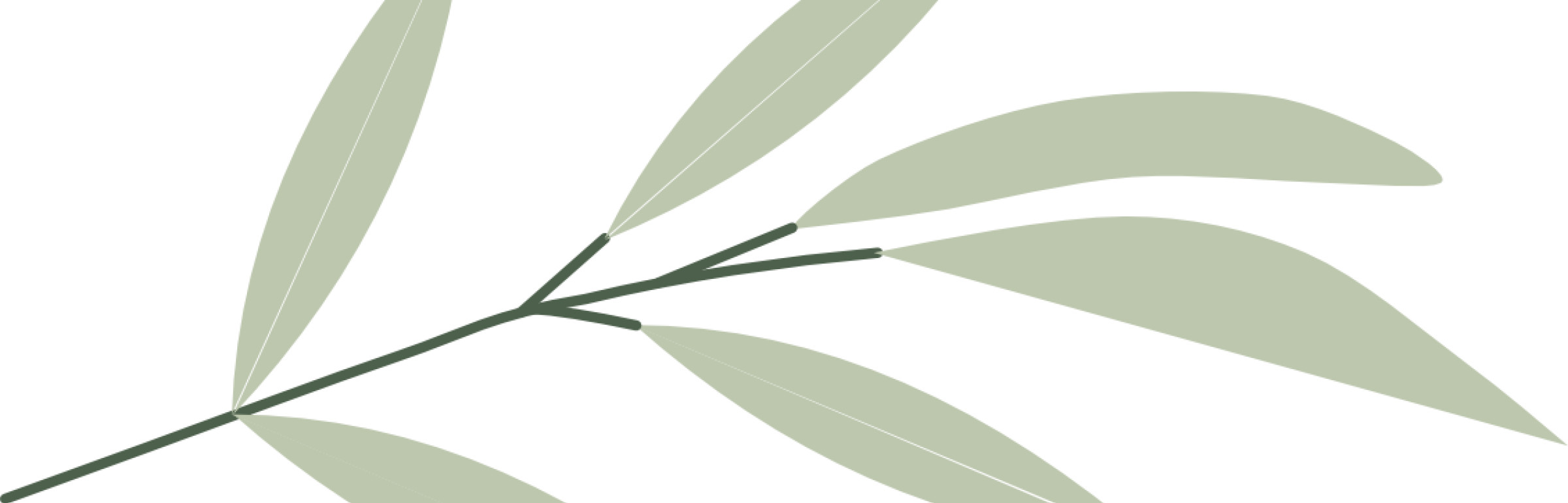 Banner Tânia Rodrigues Diététicienne