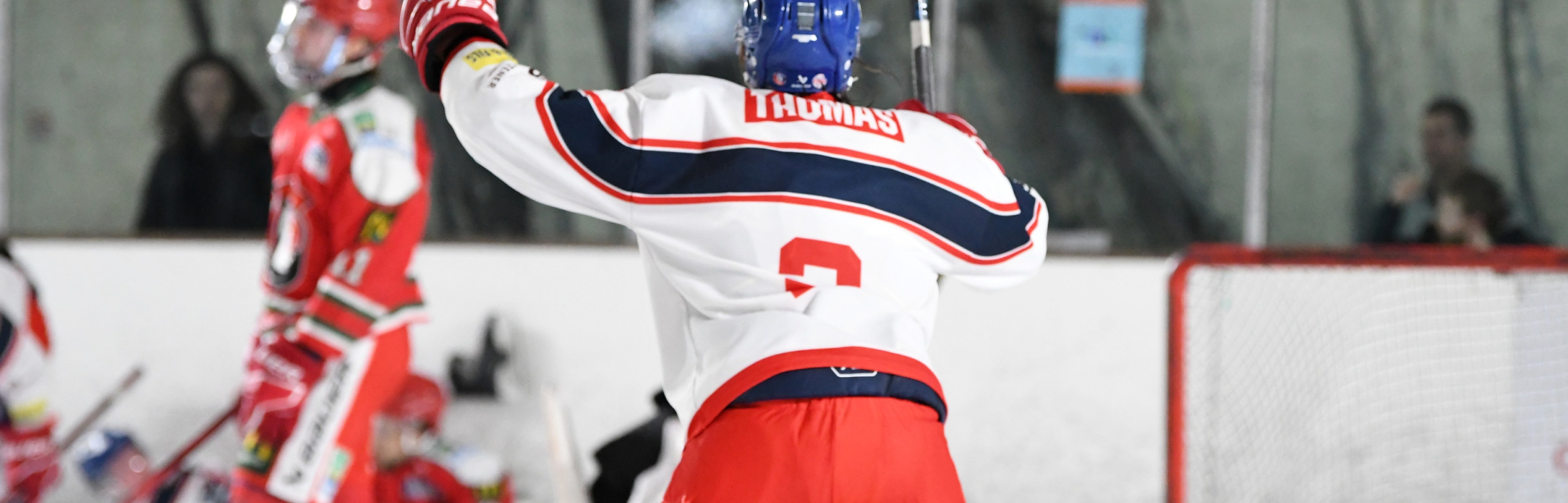 Banner Fédération Luxembourgeoise de Hockey sur Glace