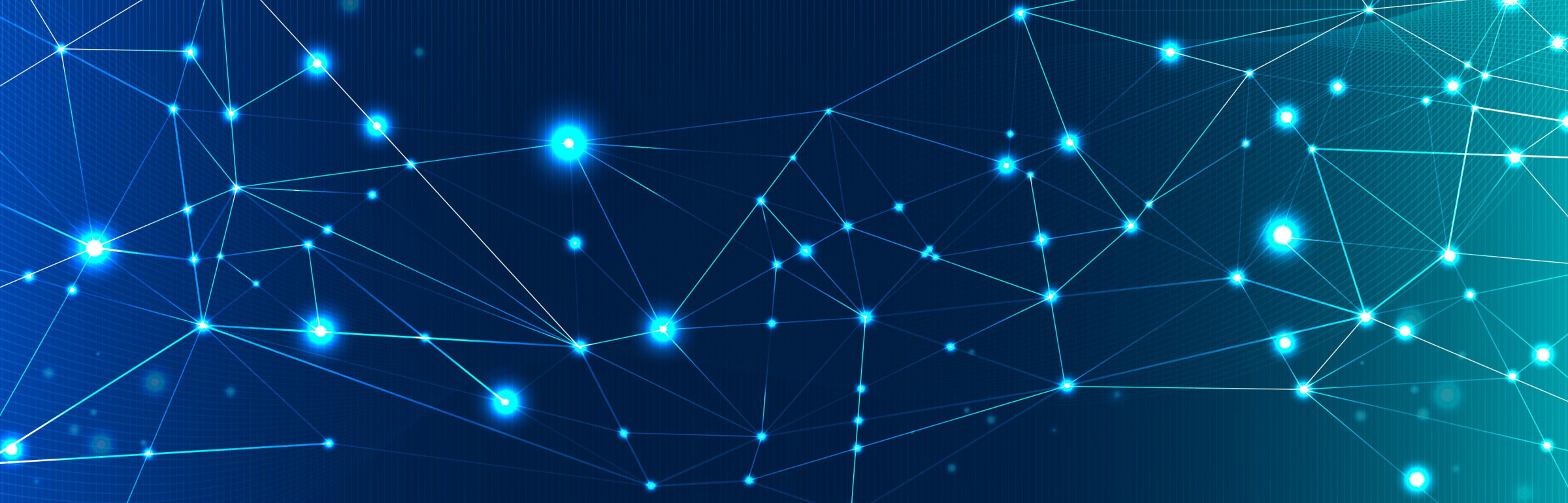 Banner Net Solutions SA