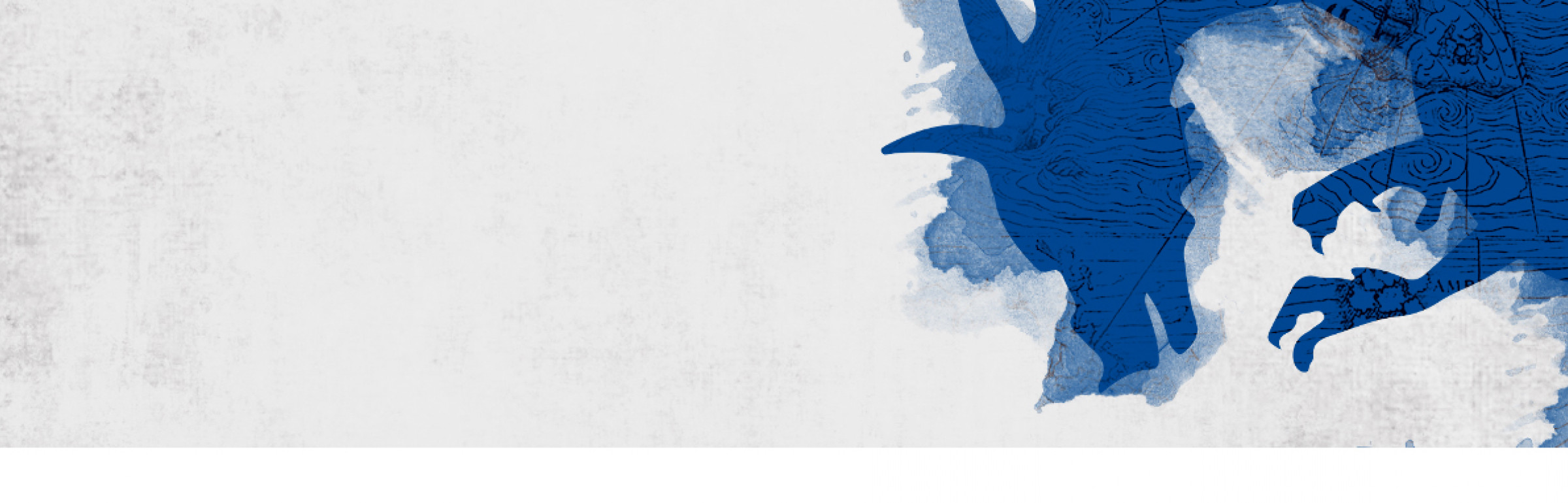 Banner Nowina Solutions