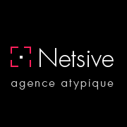 Netsive logo