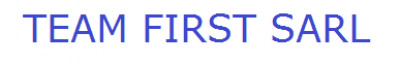 Logo TEAM FIRST