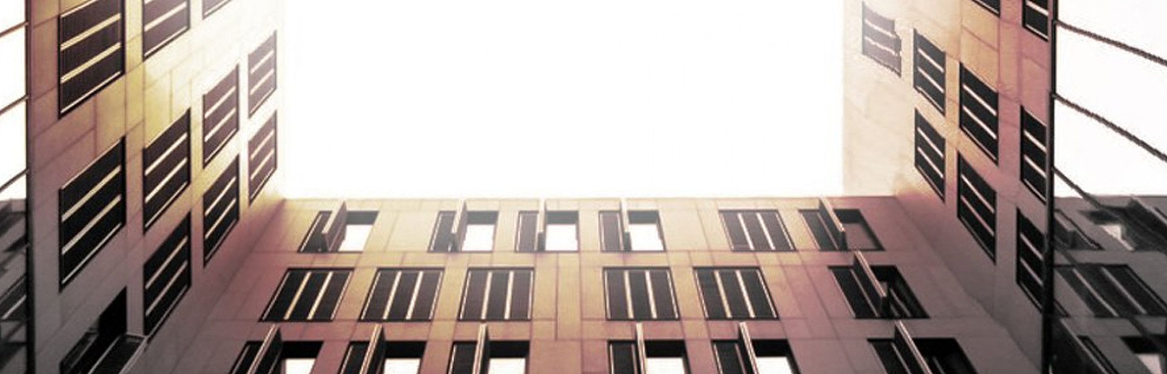 Banner LISER (LUXEMBOURG INSTITUTE OF SOCIO-ECONOMIC RESEARCH)