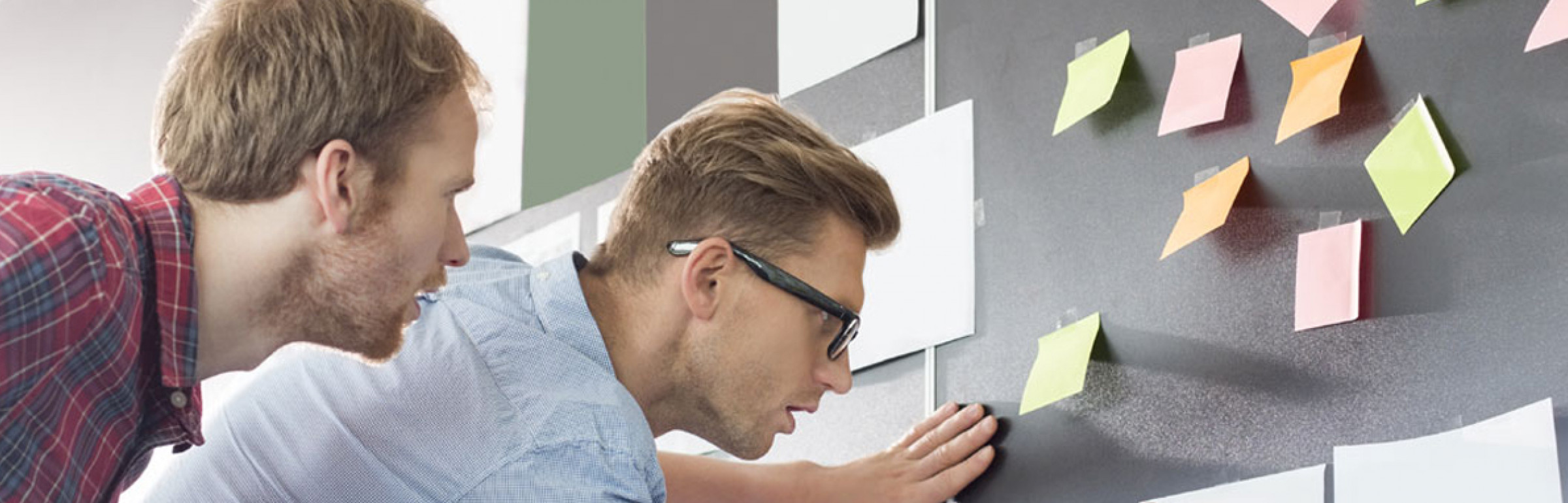 Banner Synergie France