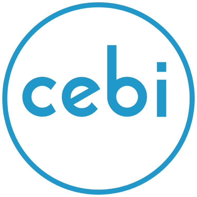 Cebi Luxembourg S.A. logo