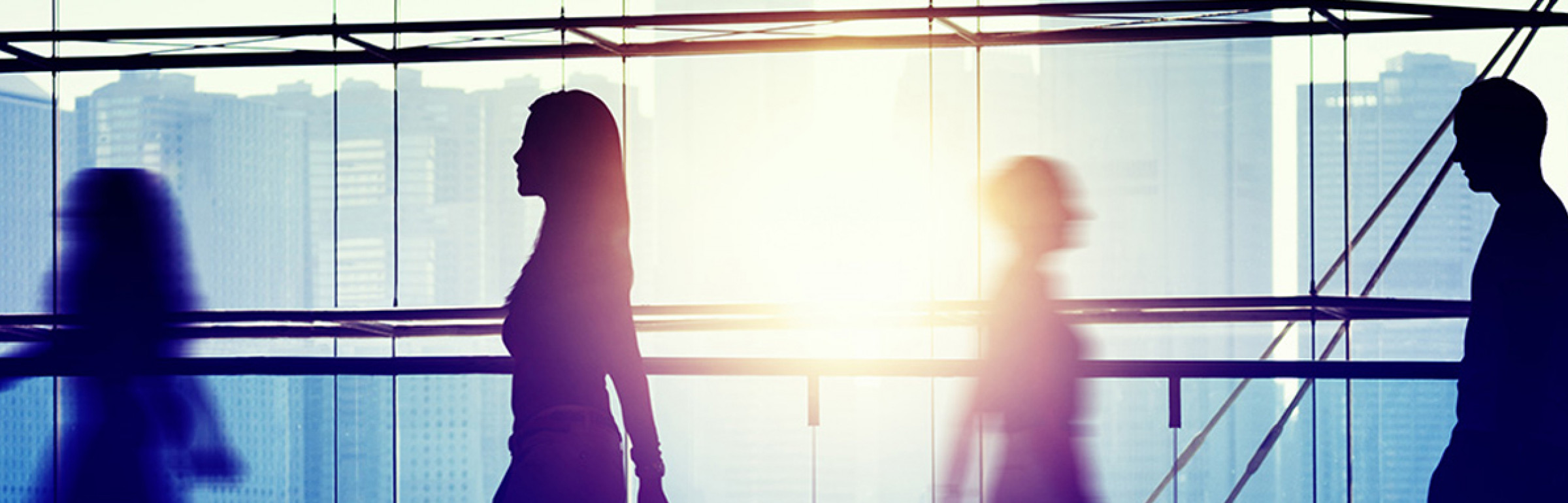 Banner LOGOS IT Services SA