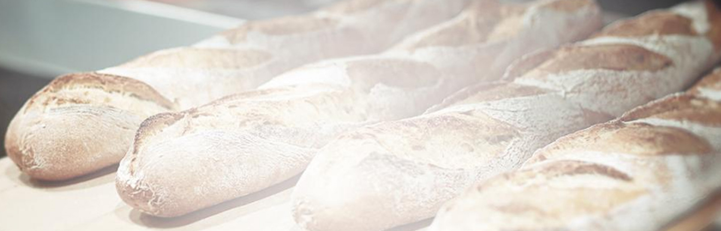 Banner Fischer-Panelux