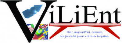 Logo Vilient Consulting S.A