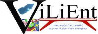 Vilient Consulting S.A logo