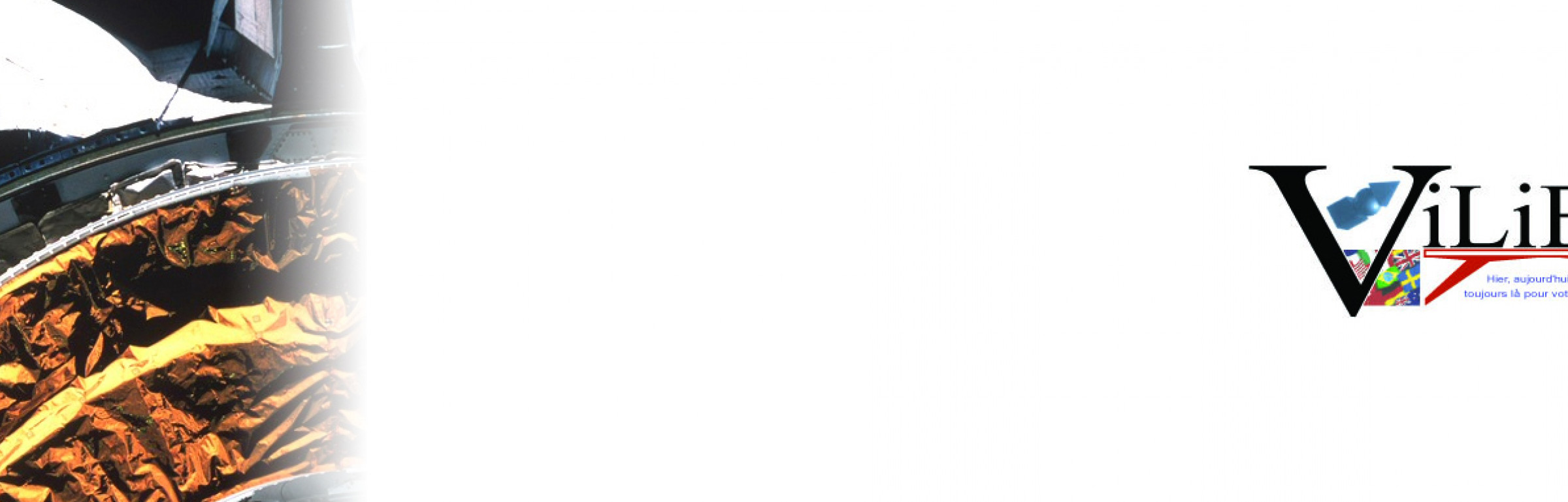 Banner Vilient Consulting S.A