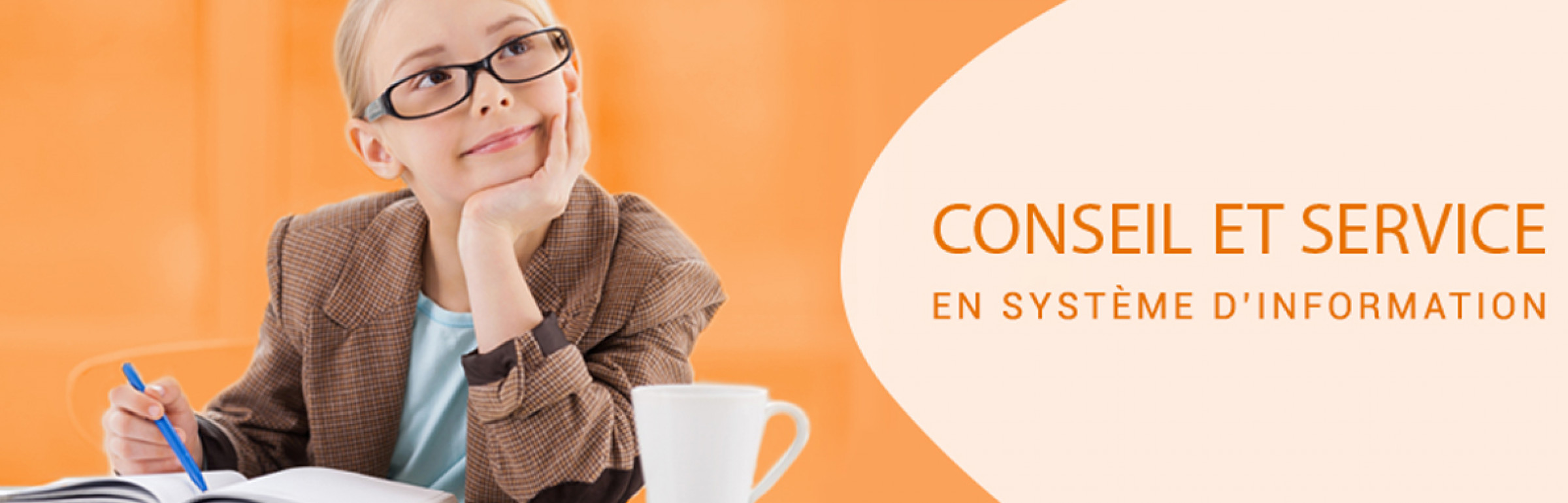 Banner BK Consulting Nord