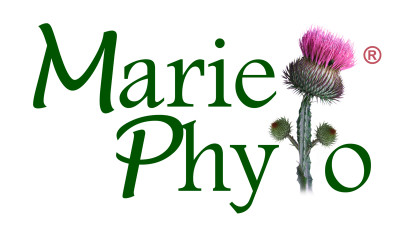 Logo Mariephyto