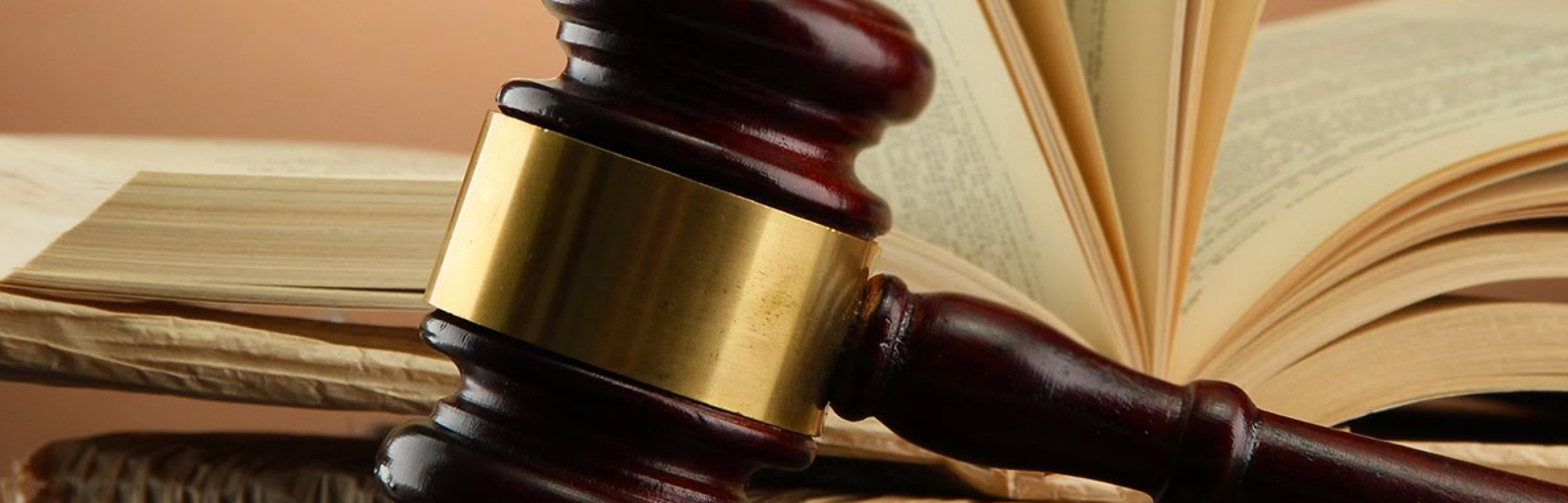 Banner MOLITOR AVOCATS A LA COUR