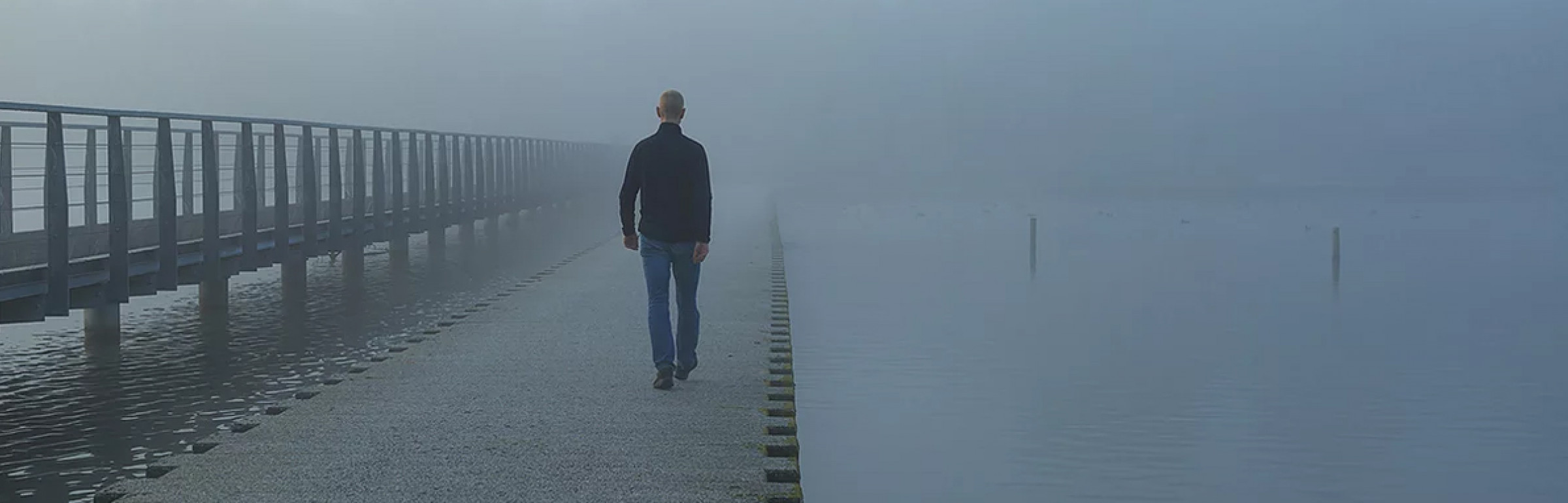 Banner Governance.io