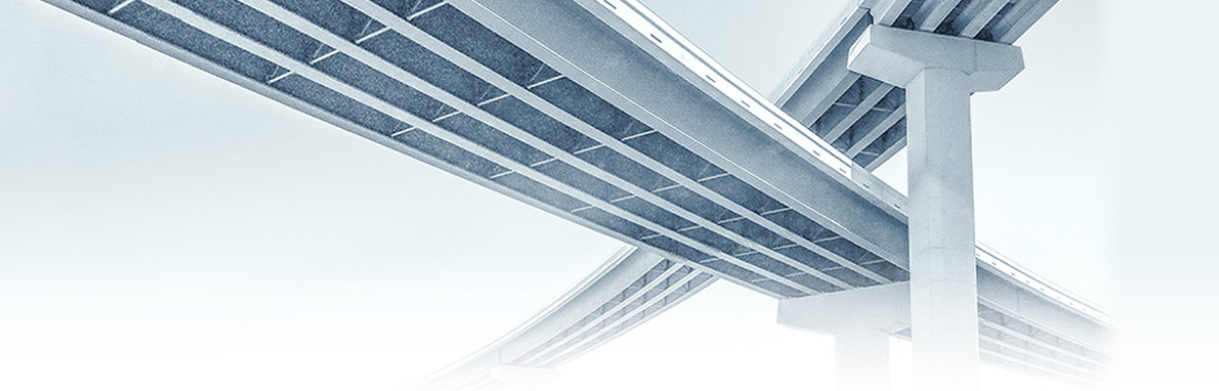 Banner Mizuho Trust & Banking (Luxembourg) Sa